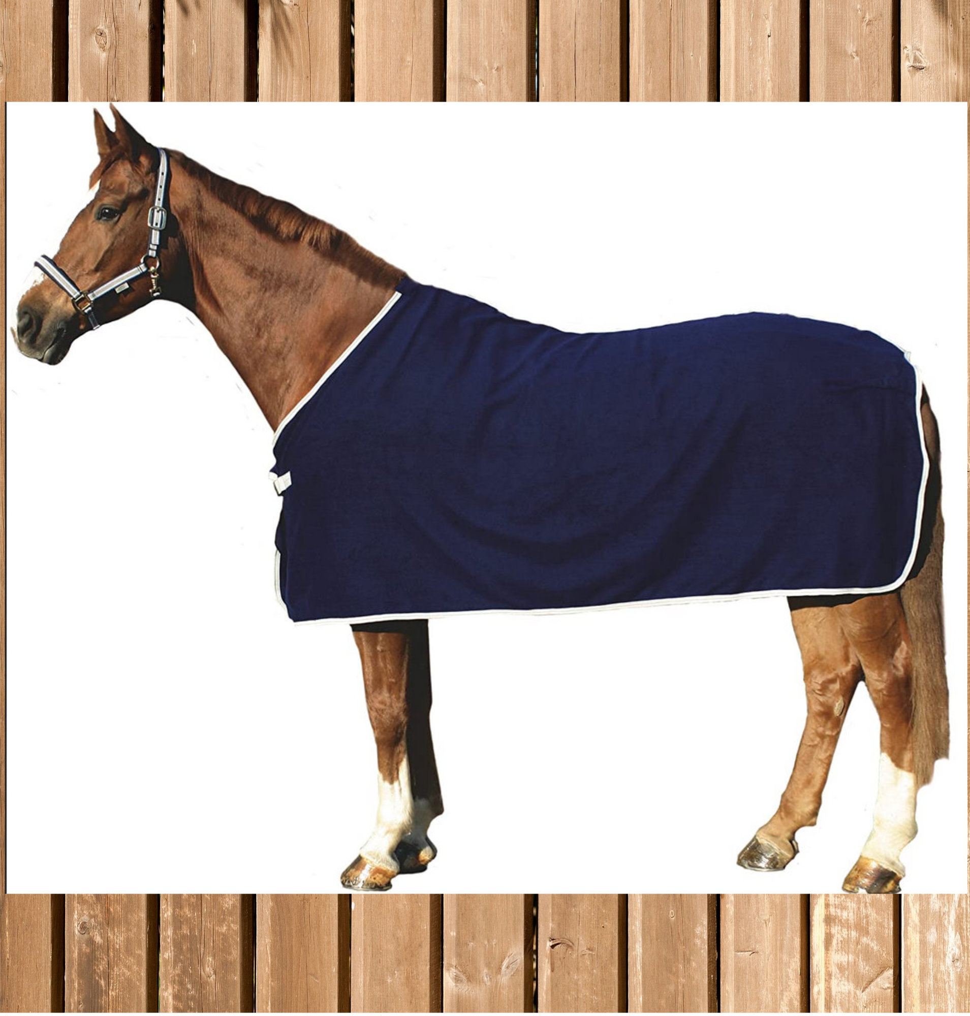 Euroriding Abschwitzdecke \"Fleece Garizelle\", navy-grau